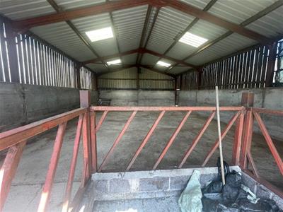 Shed One